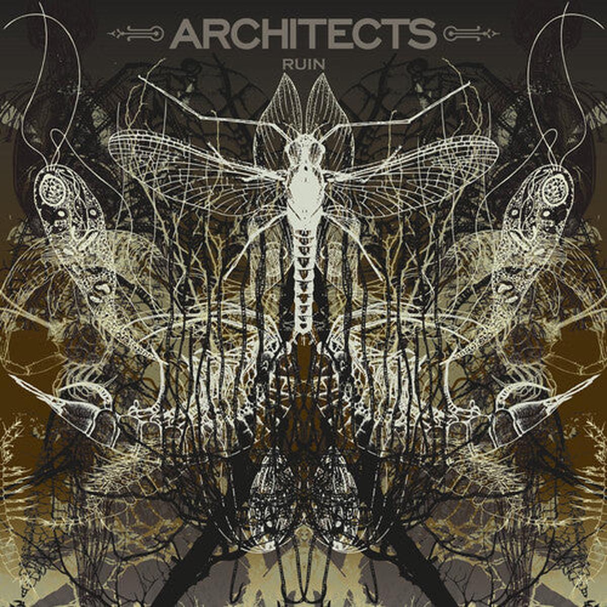 Ruin (Limited Picture Disc) [LP]