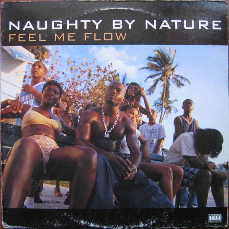 Naughty By Nature - Feel Me Flow / Hang Out And Hustle (12") (1995) [Used Vinyl]